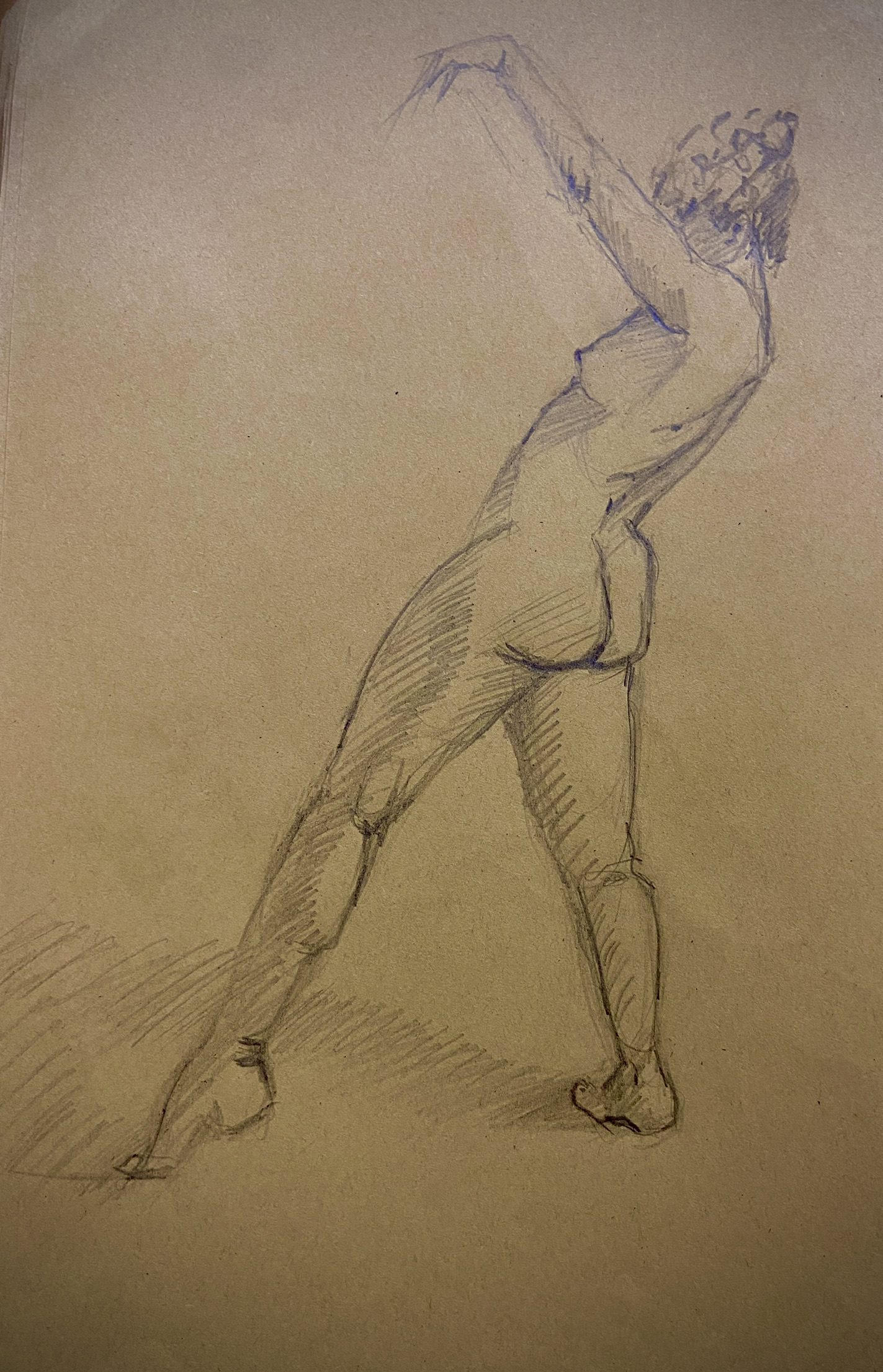 Dessin et Esquisse réalisé par l’artiste toulousaine Valérie Unterreiner.