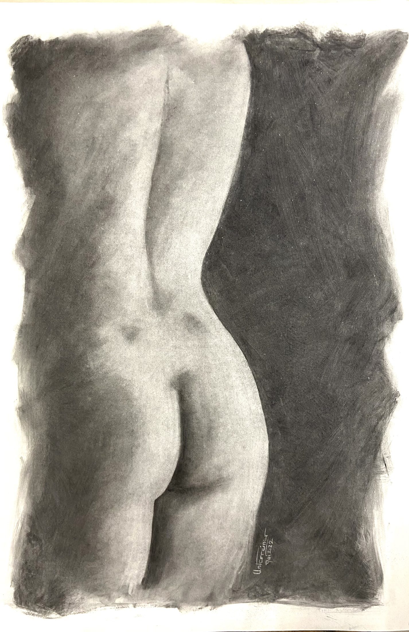 Fusain réalisé par l’artiste toulousaine Valérie Unterreiner.