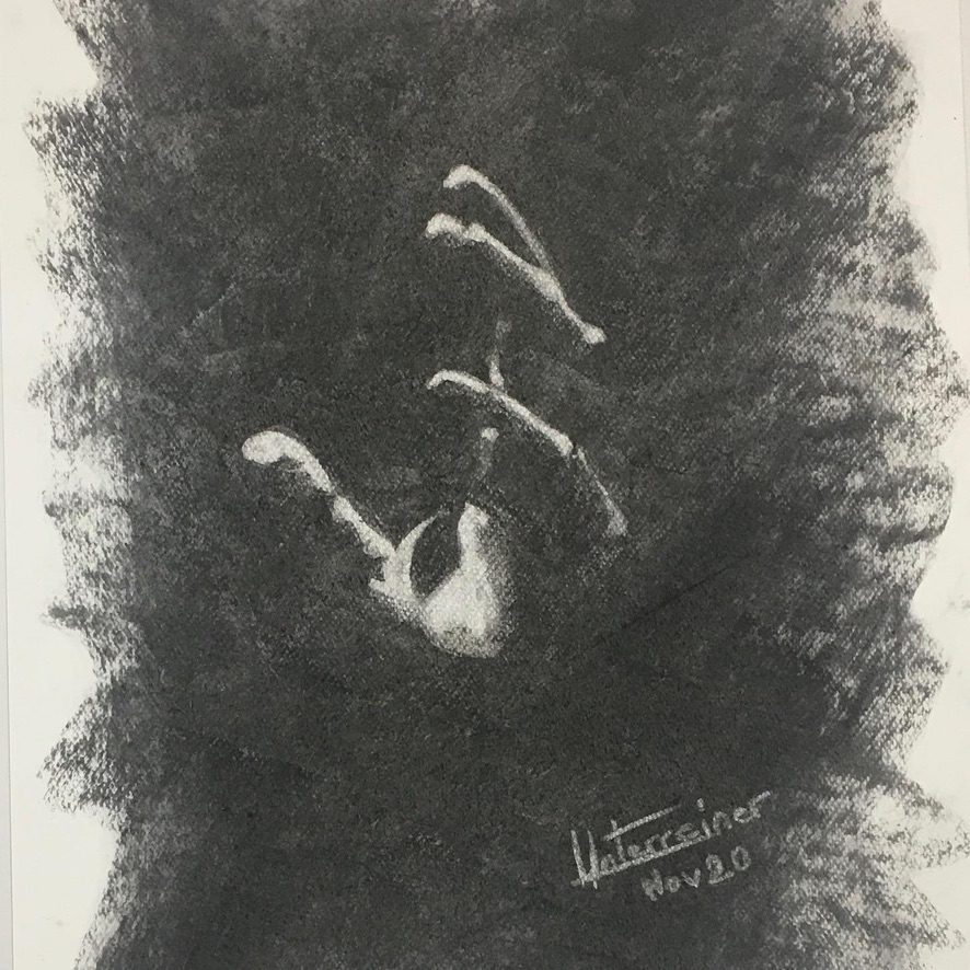 Fusain réalisé par l’artiste toulousaine Valérie Unterreiner.