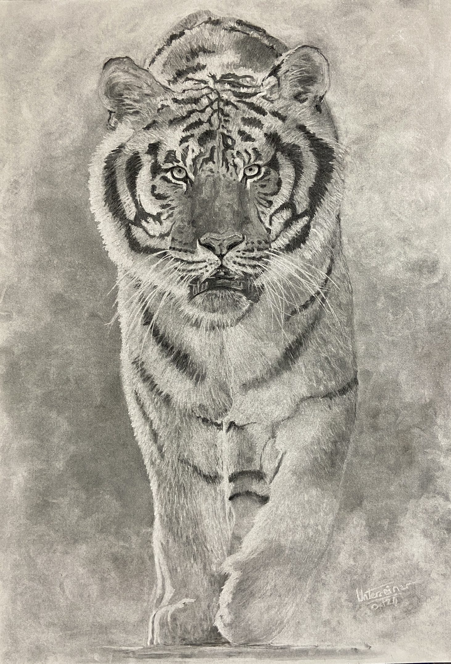 Fusain réalisé par l’artiste toulousaine Valérie Unterreiner.