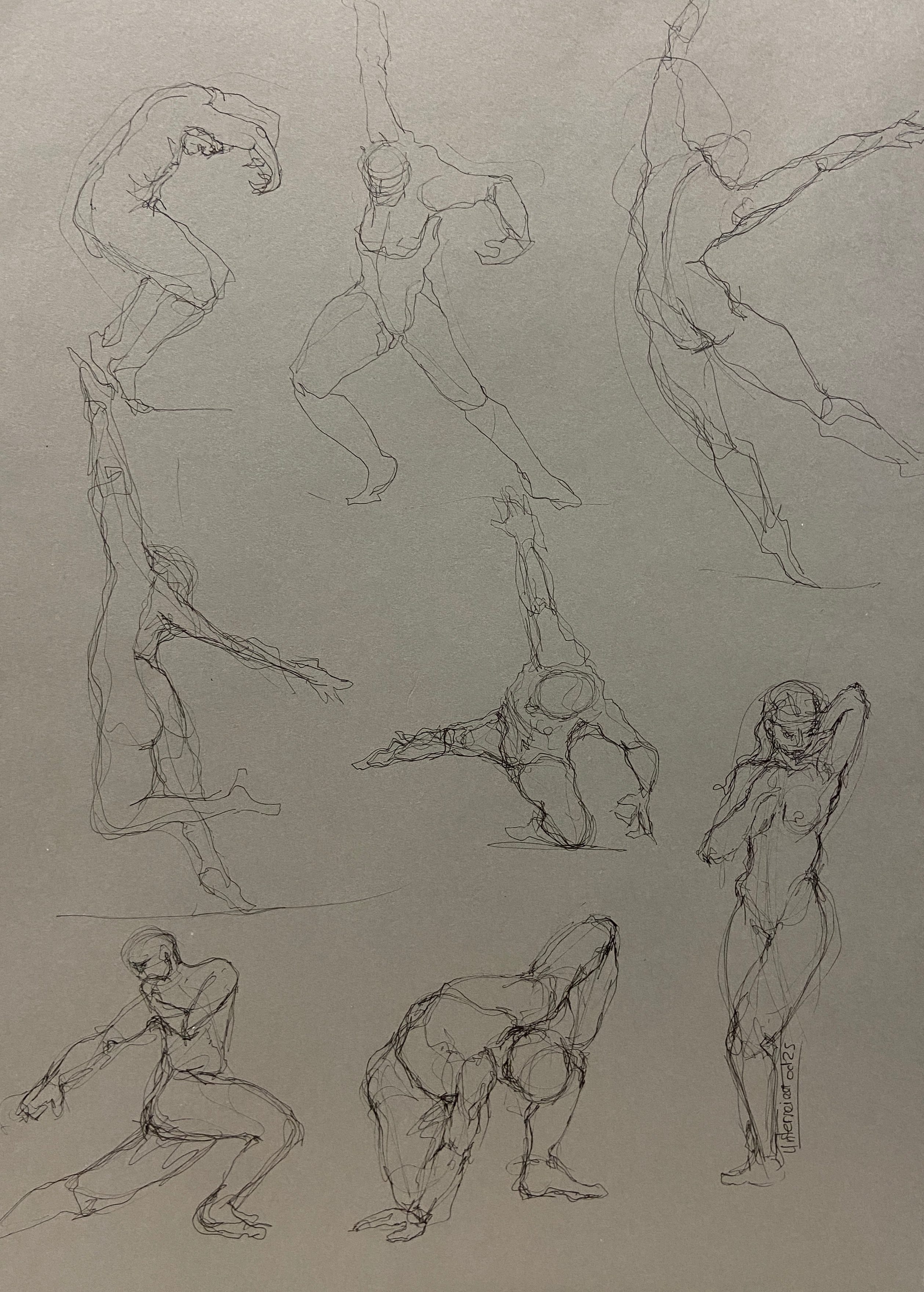 Dessin et Esquisse réalisé par l’artiste toulousaine Valérie Unterreiner.