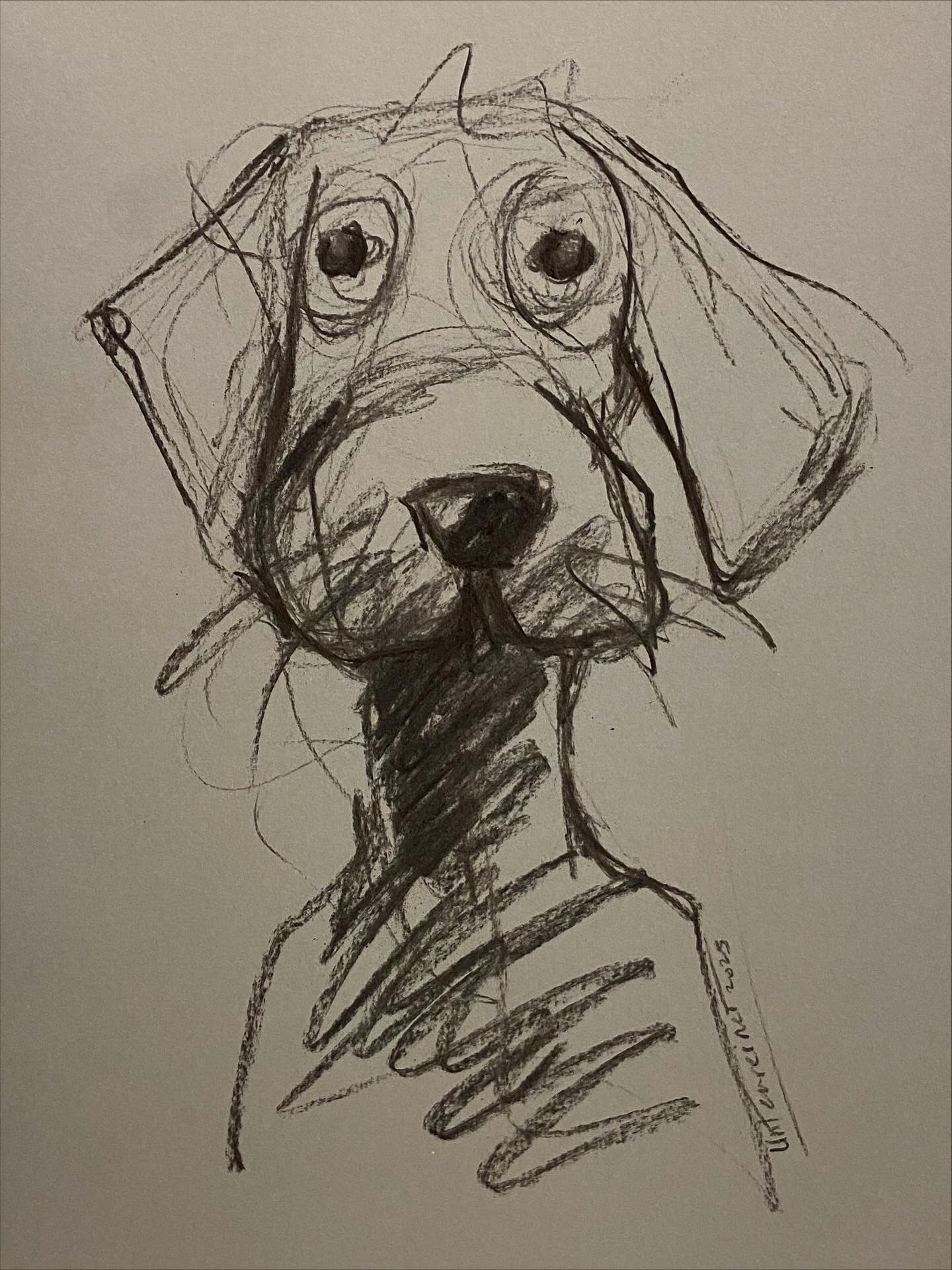 Fusain réalisé par l’artiste toulousaine Valérie Unterreiner.